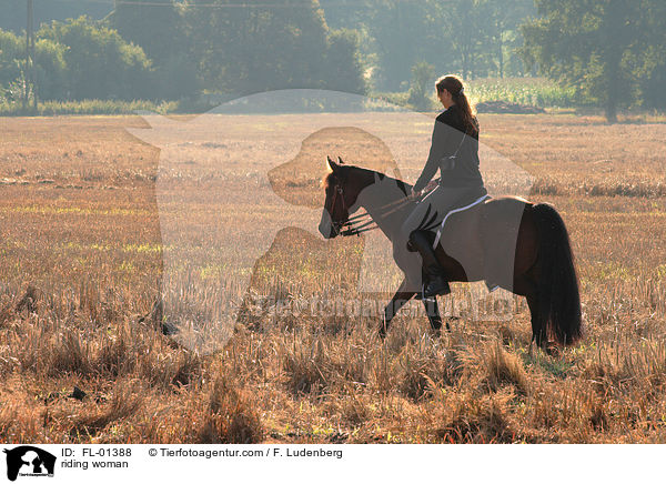 Reiterin auf Stoppelfeld / riding woman / FL-01388