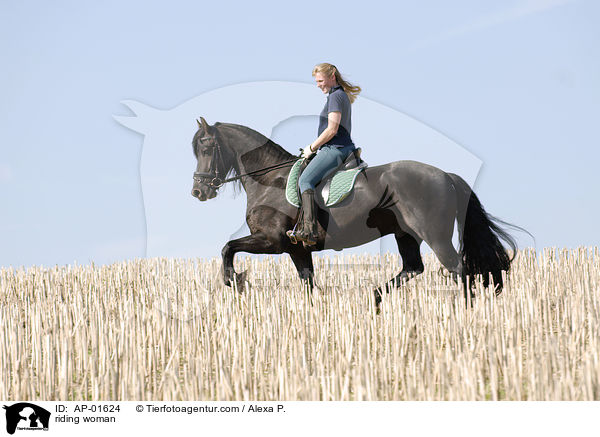 Ausritt ber ein Stoppelfeld / riding woman / AP-01624