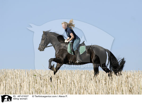 Ausritt ber ein Stoppelfeld / riding woman / AP-01627