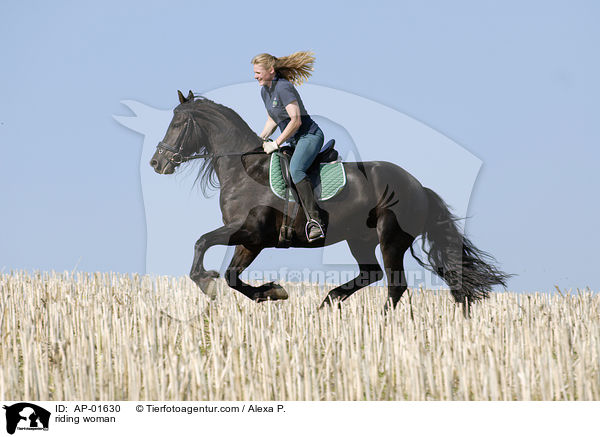 Ausritt ber ein Stoppelfeld / riding woman / AP-01630