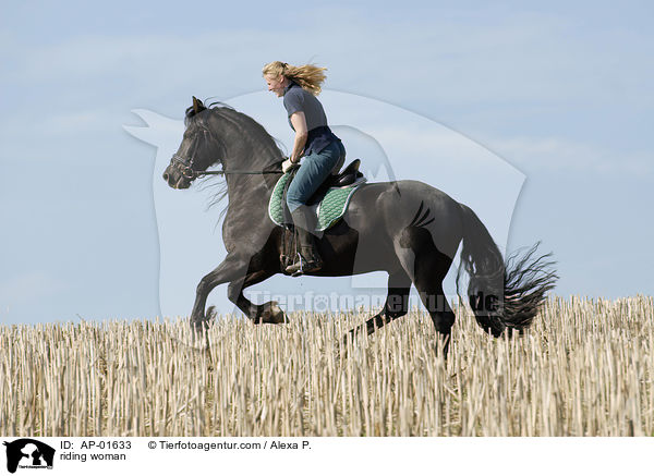Ausritt ber ein Stoppelfeld / riding woman / AP-01633