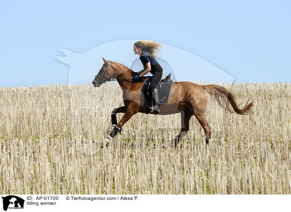Freizeitreiten / riding woman / AP-01700