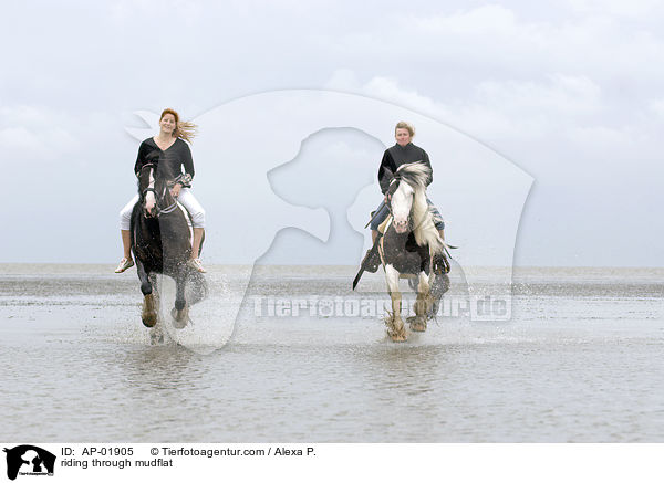 riding through mudflat / AP-01905
