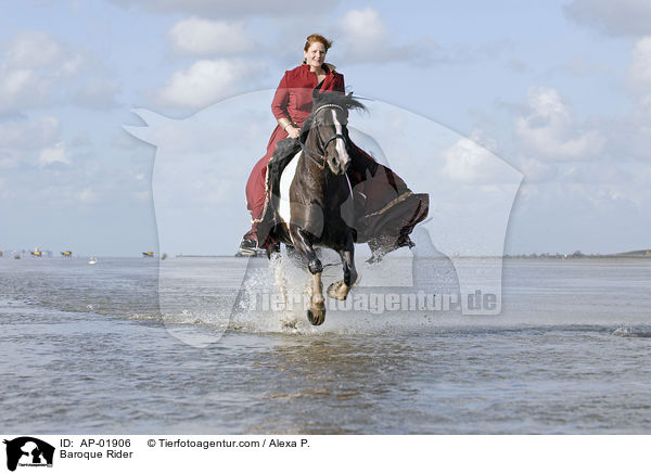 Baroque Rider / AP-01906