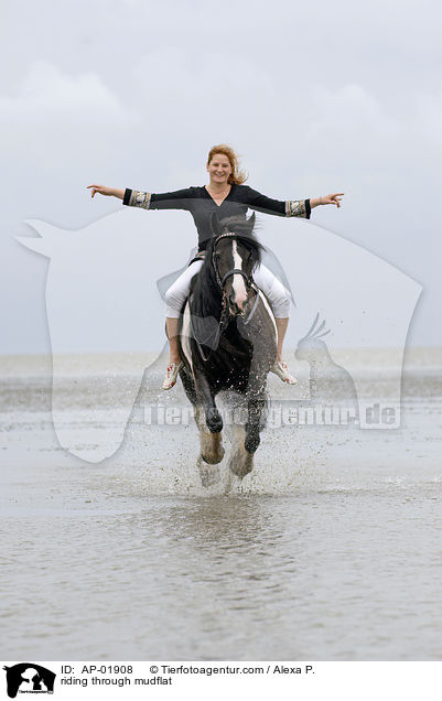 Ritt durchs Wattenmeer / riding through mudflat / AP-01908