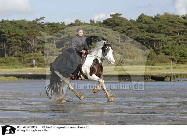 riding through mudflat / AP-01914