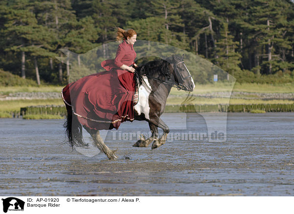 Baroque Rider / AP-01920