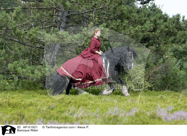 Showreiten / Baroque Rider / AP-01921