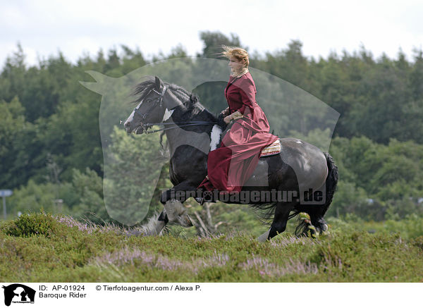 Showreiten / Baroque Rider / AP-01924