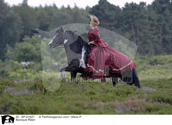 Showreiten / Baroque Rider / AP-01927