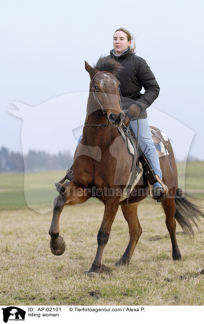 Freizeitreiten / riding woman / AP-02101