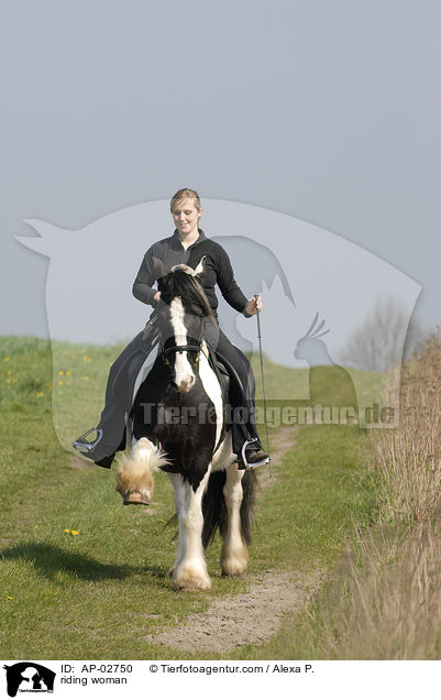 Freizeitreiten / riding woman / AP-02750