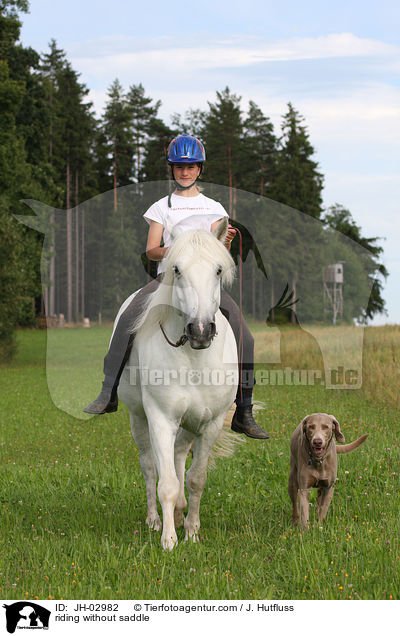 riding without saddle / JH-02982