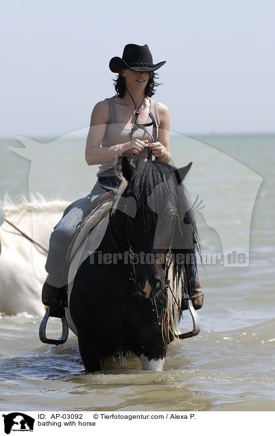 mit Pferden baden / bathing with horse / AP-03092