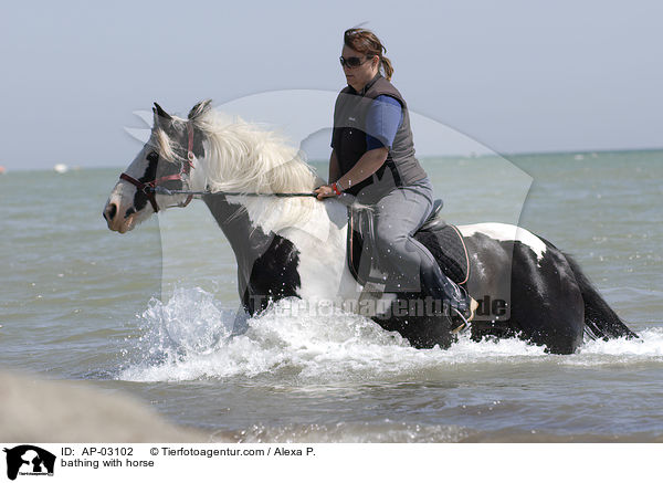 bathing with horse / AP-03102
