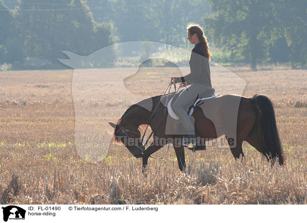 Reiterin im Gegenlicht / horse-riding / FL-01490