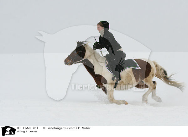 reiten im Schnee / riding in snow / PM-03761