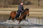Leisure rider