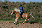 Leisure rider