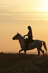 Leisure rider
