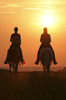 Leisure rider