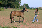 Leisure rider