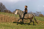 Leisure rider