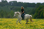 Leisure rider