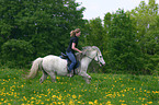 Leisure rider