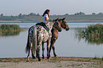 Leisure rider
