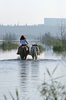 Leisure rider