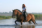 Leisure rider