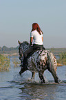 Leisure rider