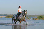 Leisure rider