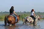 Leisure rider