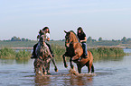 Leisure rider