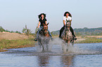 Leisure rider