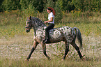 Leisure rider