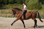 Leisure rider