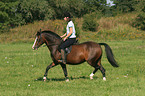 woman rides German Riding Pony in the meadow