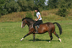 woman rides German Riding Pony in the meadow