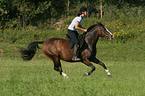 woman rides German Riding Pony in the meadow