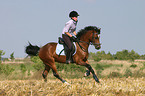 woman rides German Riding Pony on stubblefield