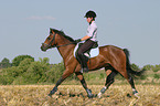 woman rides German Riding Pony on stubblefield