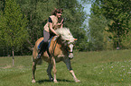 woman rides Haflinger horse
