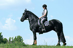 woman with Friesian