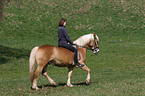 young woman with Haflinger