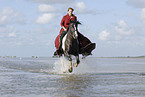 Baroque Rider