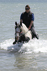 bathing with horse