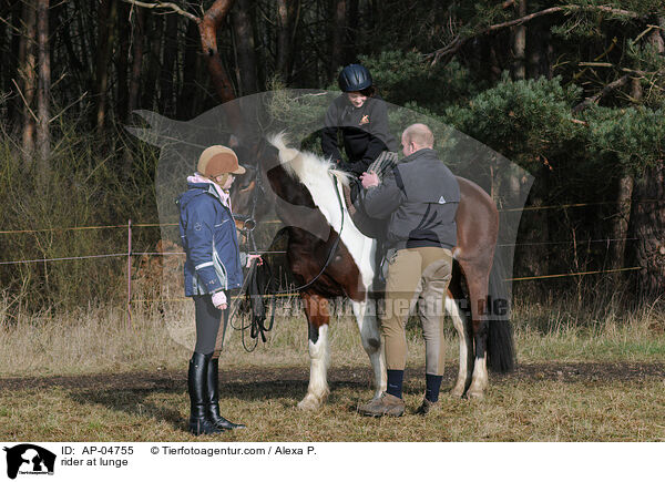 Reiter an der Longe / rider at lunge / AP-04755